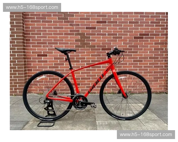 阵容公路自行车：速度与优雅的全新阵营