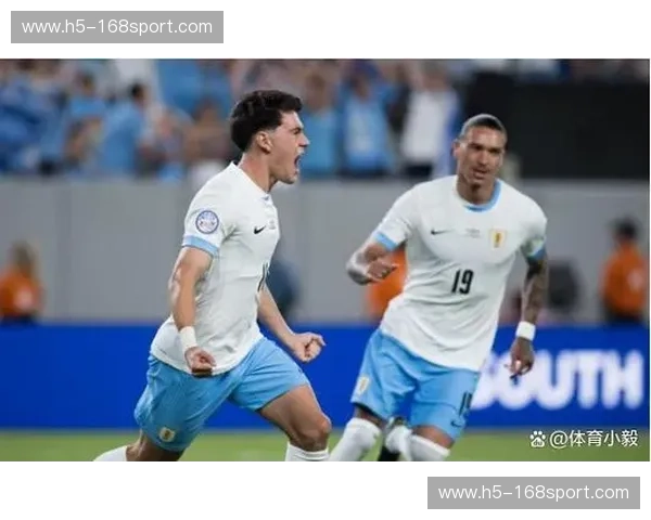 南美双雄巅峰对决：阿根廷vs智利，美洲杯的激情与荣耀